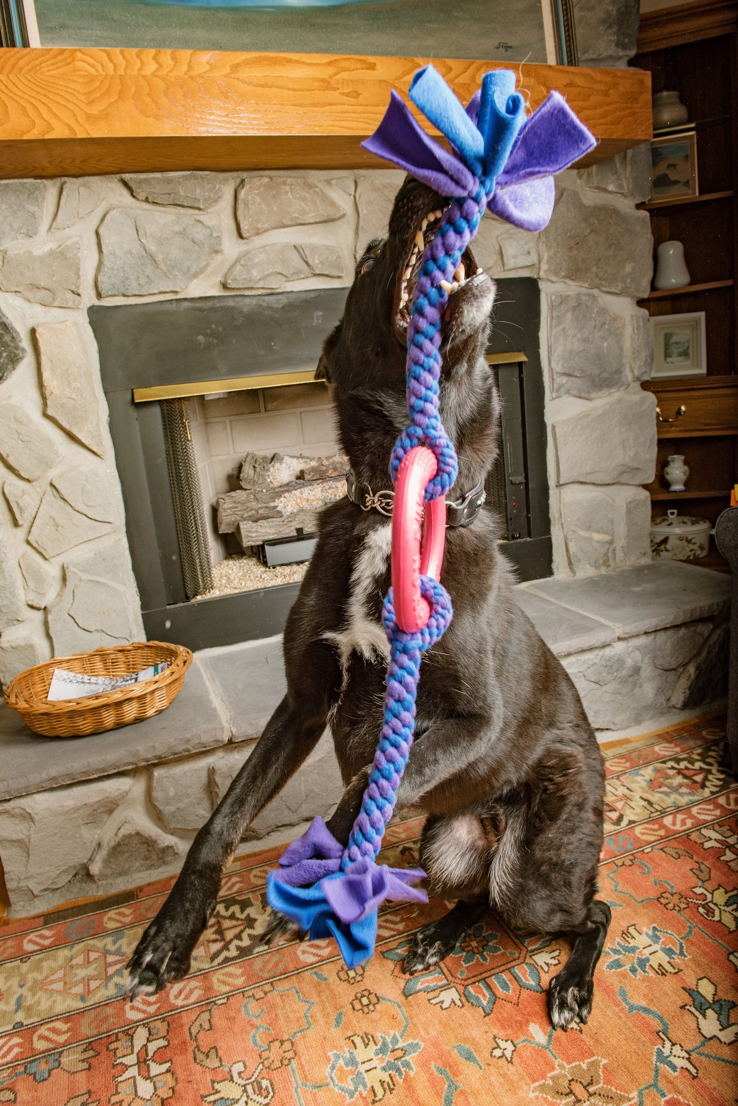 Double Tug Toy with a Flexible Center Ring